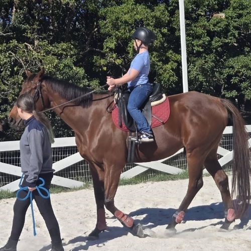 horse riding camps